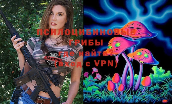 кристаллы Дмитриев