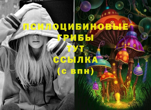 ПСИЛОЦИБИНОВЫЕ ГРИБЫ Елизово