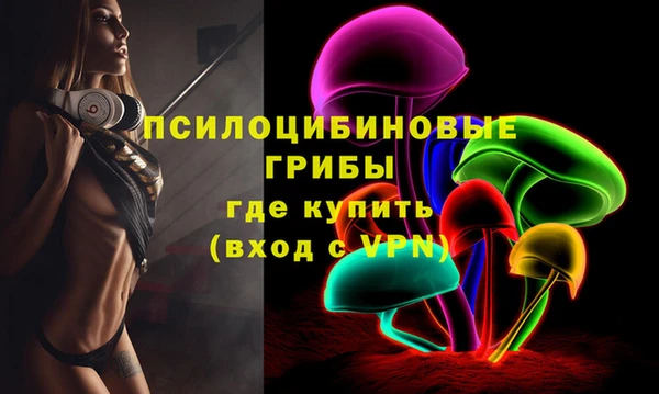 Альфа ПВП Елабуга