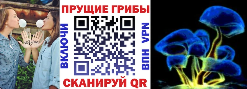 Псилоцибиновые грибы Psilocybine cubensis  где найти наркотики  Октябрьский 